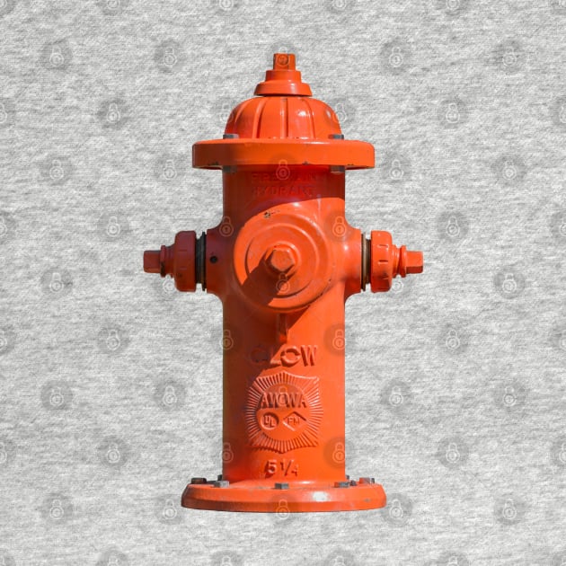 Orange Clow Medallion Fire Hydrant by Enzwell